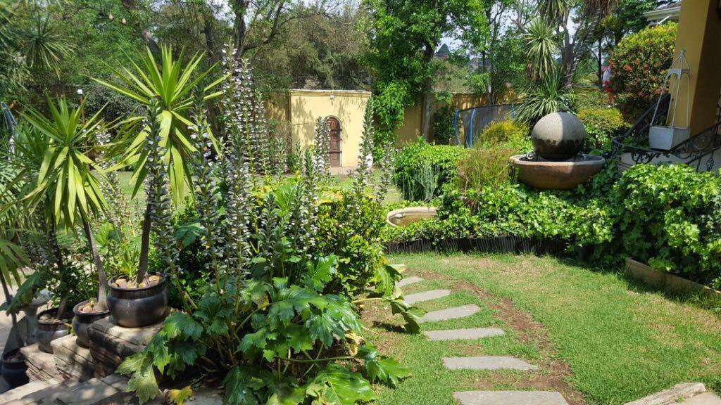Villa Mikamora Johannesburg Ngoại thất bức ảnh